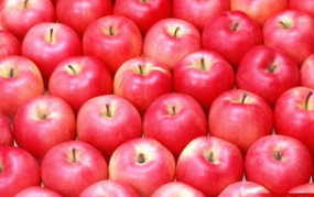 娱乐吃瓜酱苹果自带滤镜,娱乐吃瓜酱带你领略滤镜魔法魅力