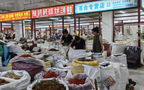 亳州药材网,中华药都的线上窗口，中药材交易的枢纽平台”
