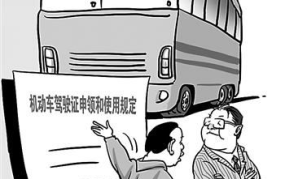应聘司机,优秀应聘司机展现卓越技能与职业素养
