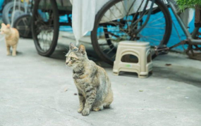 718娱乐吃瓜官网入口看天气,天气变化背后的娱乐风云”