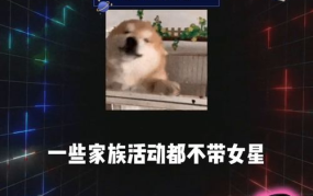 娱乐领域吃瓜群众,吃瓜群众揭秘幕后真相