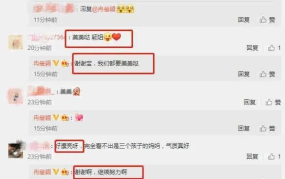 娱乐圈爆料吃瓜号,揭秘明星背后的秘密与真相