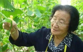 吃瓜娱乐如果星星不说话,揭秘“如果星星不说话”的神秘魅力