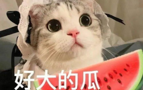 兔子直播间娱乐圈吃瓜,娱乐圈吃瓜盛宴，揭秘明星幕后故事