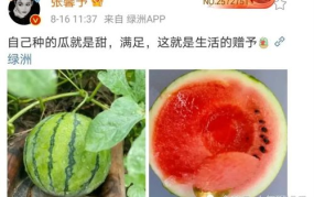 娱乐圈吃瓜的图片,吃瓜图鉴揭秘明星幕后故事