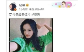 吃瓜网娱乐八卦视频下载,独家娱乐八卦视频下载攻略