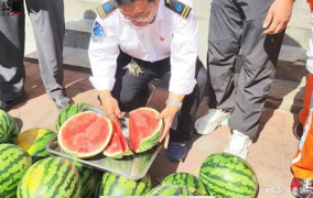 平乡网红吃瓜事件视频,一场网络狂欢背后的真相揭秘