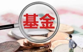 001048基金,聚焦新兴产业，稳健投资策略解析