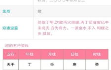 名字测试打分免费,免费在线名字测试打分全攻略