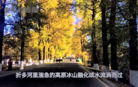 娱乐吃瓜君17,揭秘娱乐圈最新热点事件