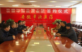 安徽华源医药股份有限公司,从困境走向辉煌的医药巨头之路”