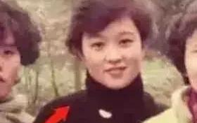 娱乐圈中年吃瓜少女,揭秘中年吃瓜少女生存法则