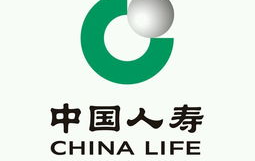中国人寿财产保险股份有限公司,实力雄厚、业务广泛的专业财产保险公司