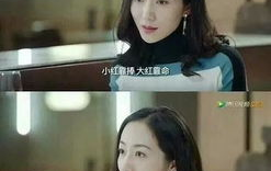 吃瓜小说娱乐圈柳小八,娱乐圈的瓜田小仙女