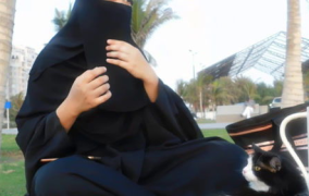 娱乐吃瓜君虐猫,道德底线何在？