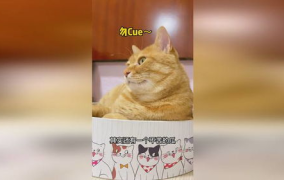 吃瓜猫娱乐,揭秘娱乐圈幕后故事，带你领略明星真实生活